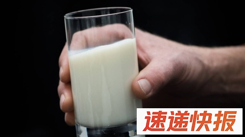 生乳细菌