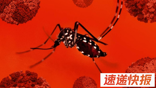 基孔肯尼亚热