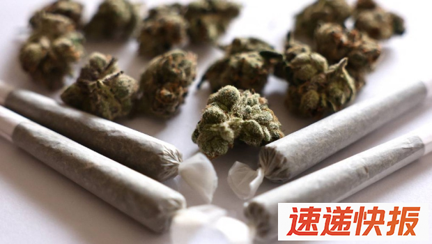 大麻