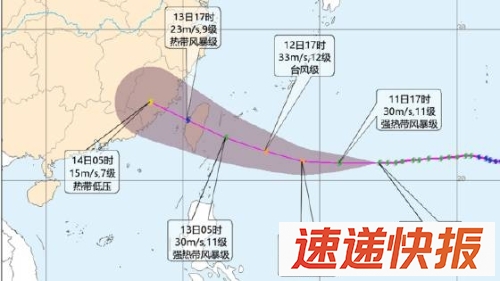杨柳台风