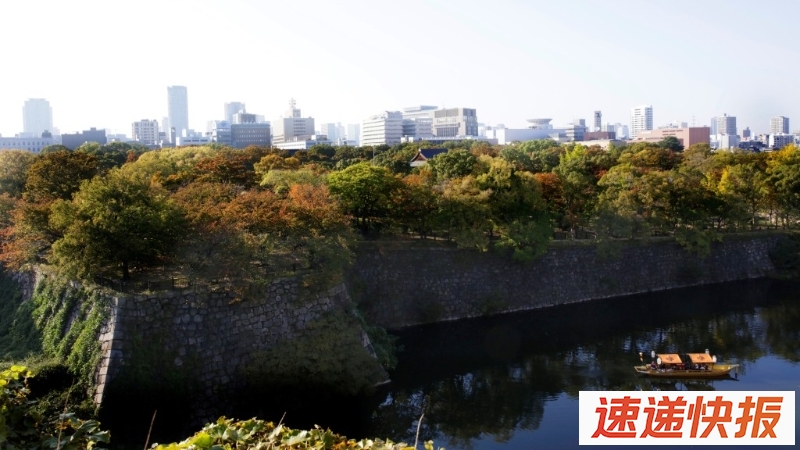 大阪城护城河传恶臭，逾100条鱼死亡
