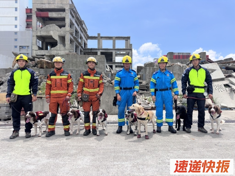 消防犬队现有7只工作犬，包括5隻搜救犬及2只火警调查犬。